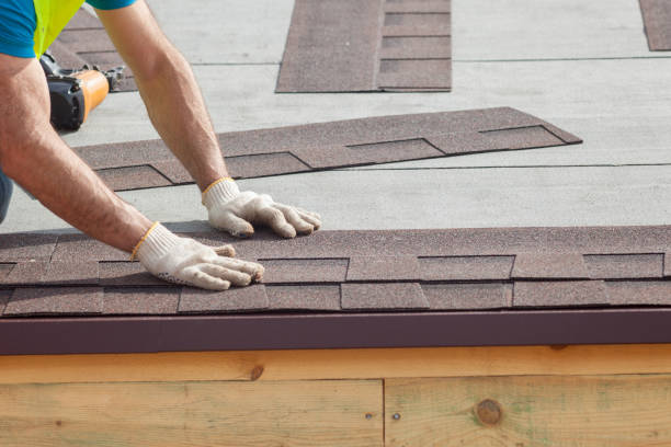 Best Metal Roofing Installation  in Fort Llins, CO